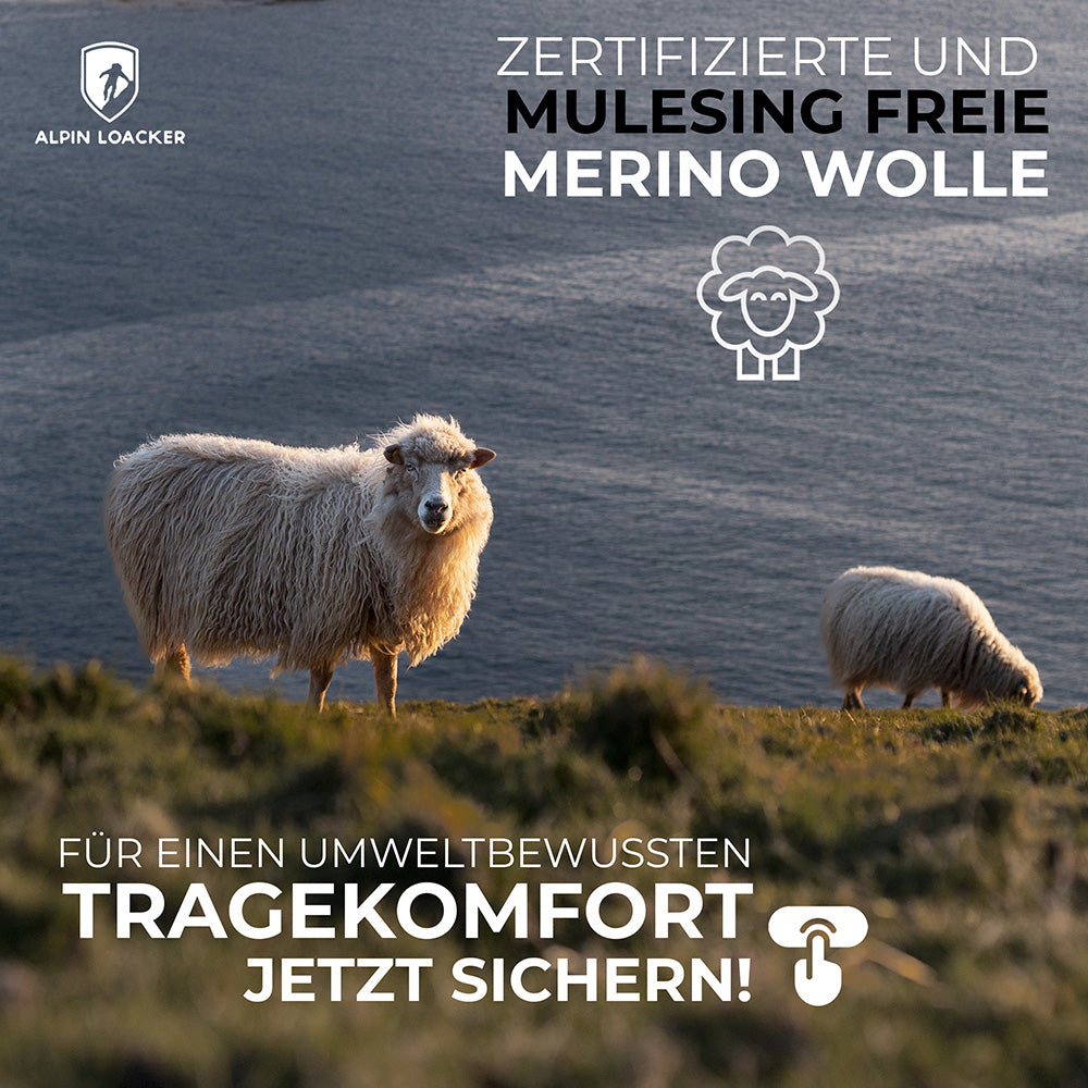 Werbegrafik für Damen Merino Shorts 150 g/m2 aus zertifizierter, mulesingfreier Merinowolle mit zwei Schafen auf einer Wiese oberhalb eines Sees.