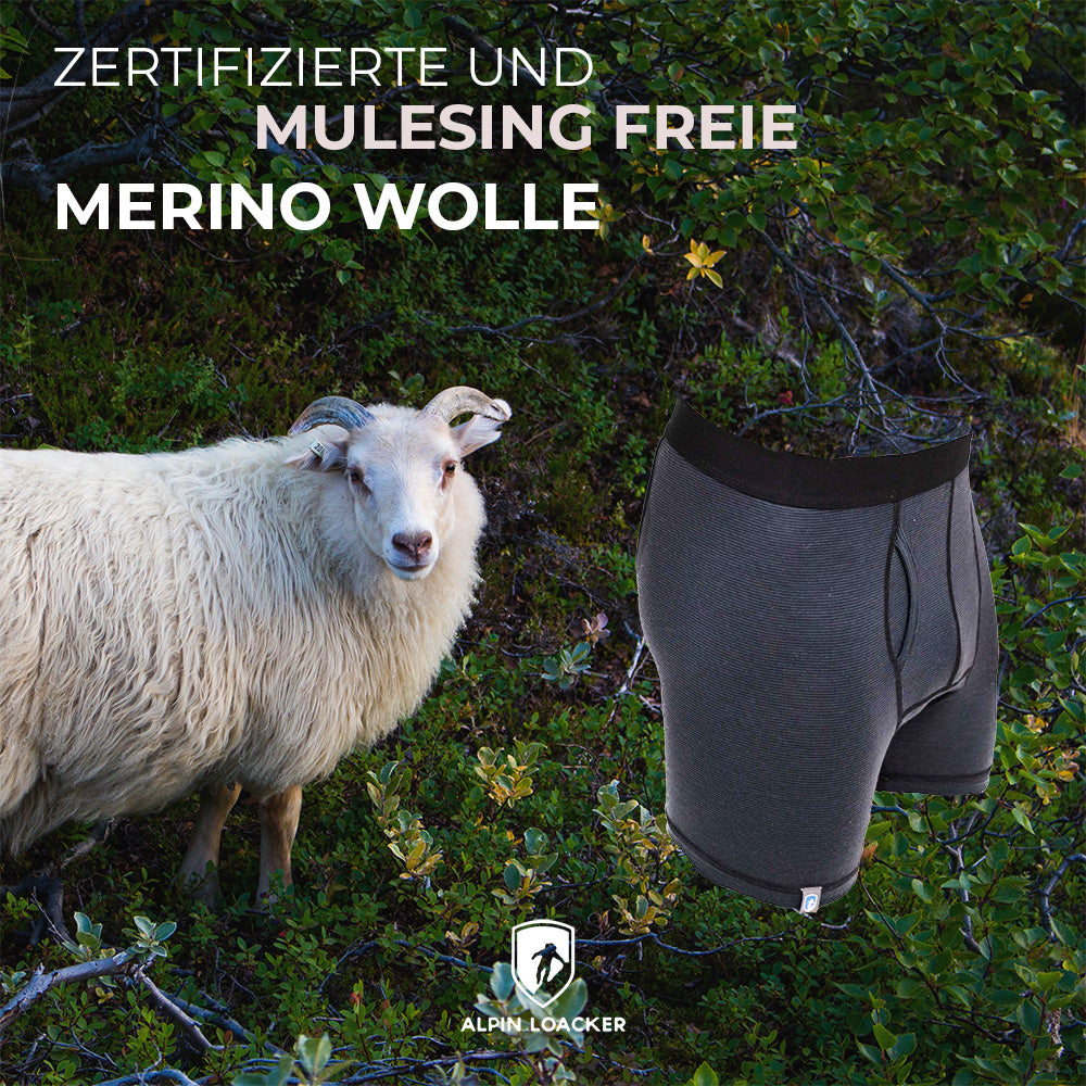 Merino Boxershorts Herren 150 g/m² neben Merinoschaf, beworben als zertifiziert und mulesing-frei, für Outdoor-Aktivitäten und Alltag, mit innovativer CORESPUN-Technologie für Komfort und Funktionalität.