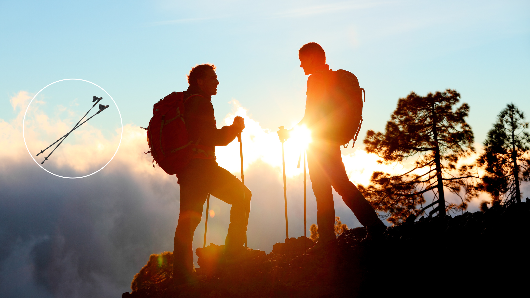 Wanderstöcke faltbar entdecken leichte stabile und praktische Stöcke für Outdoor Abenteuer