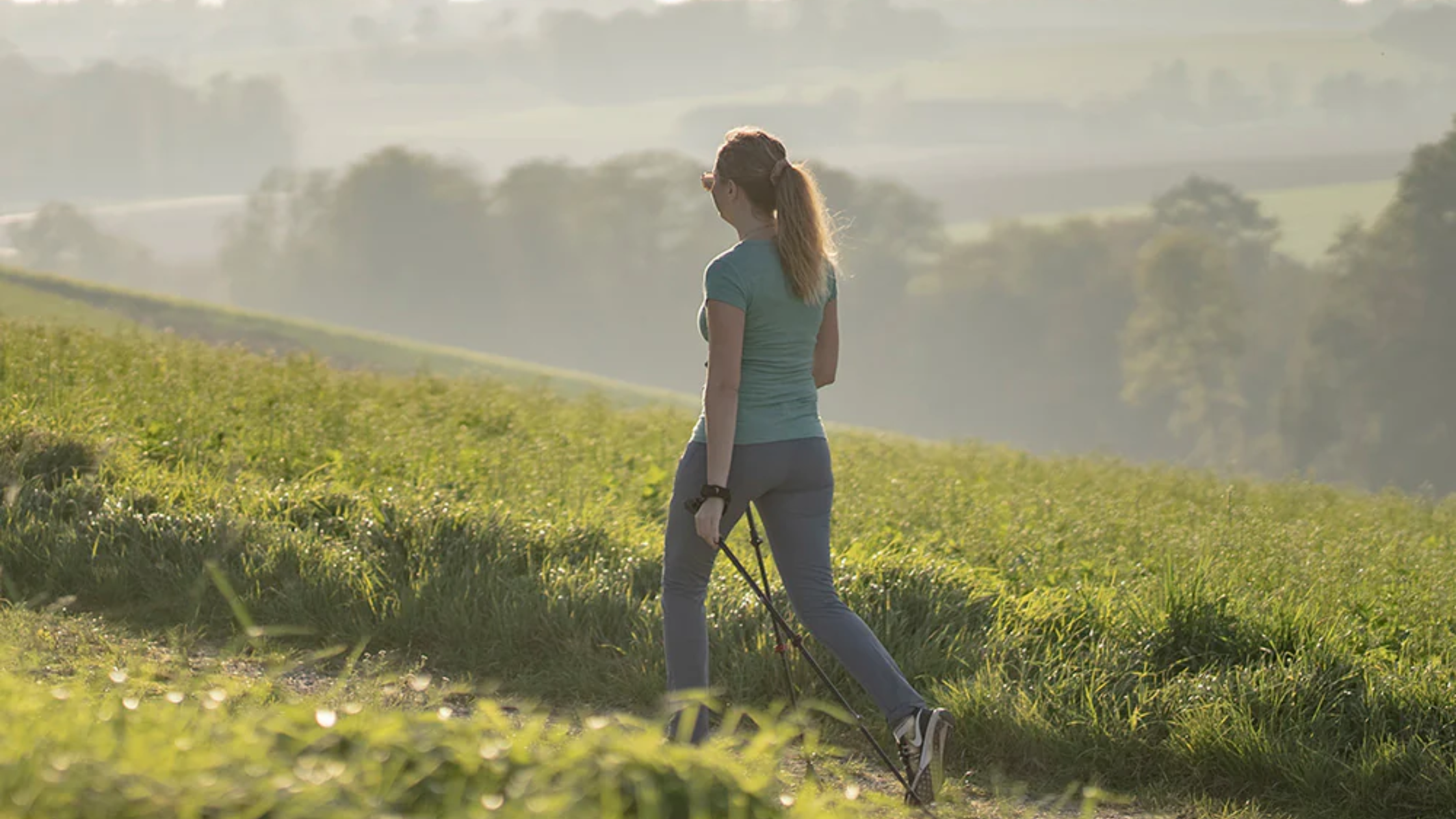 Wanderstöcke teleskop verstellbare Wanderstöcke für Flexibilität und Komfort unterwegs