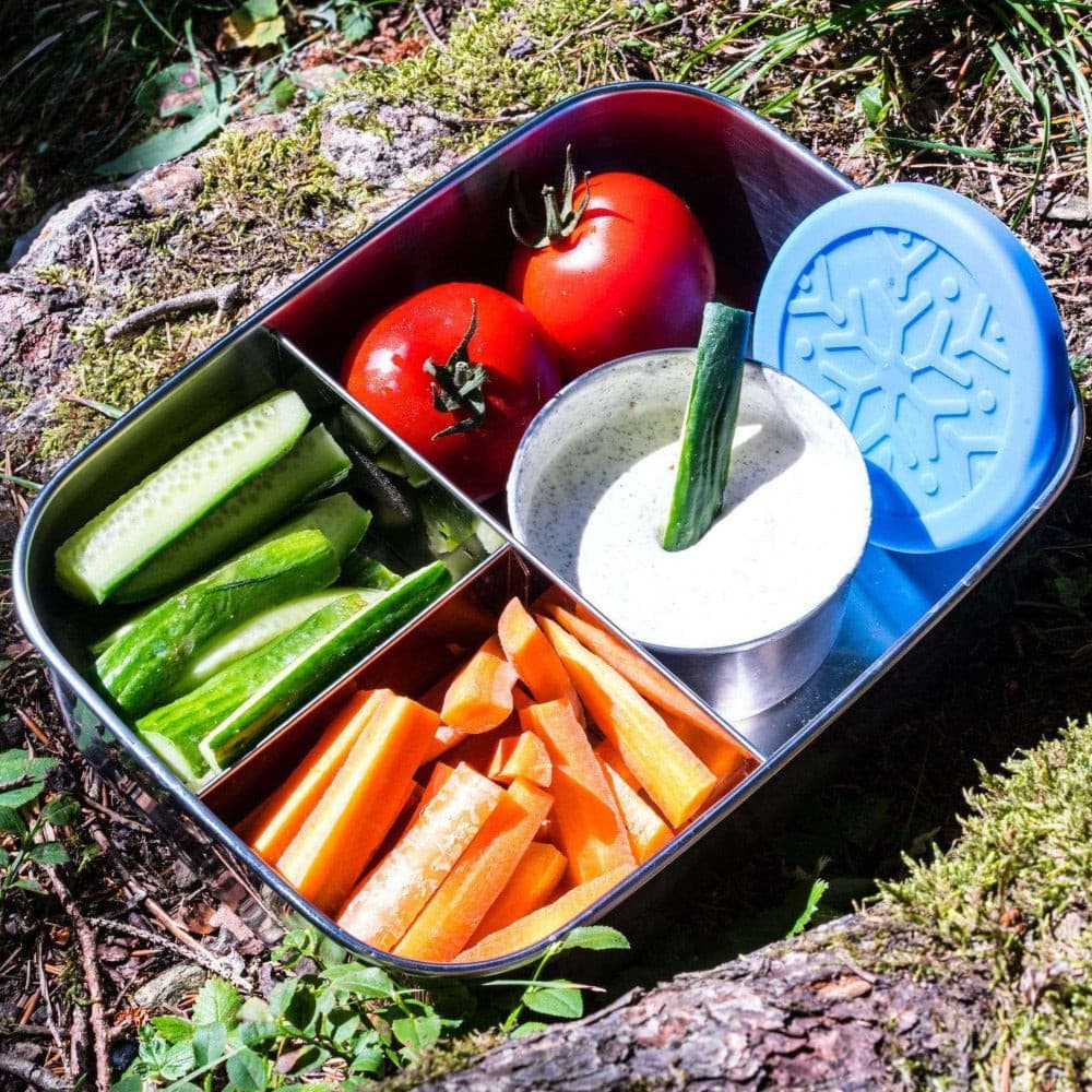 Edelstahl Behälter mit Silikondeckel, gefüllt mit Gemüse und Dip, ideal für Outdoor-Abenteuer. Robust, leicht, auslaufsicher und umweltfreundlich.